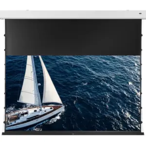 Celexon GREYVISION Premium Plus Motor Leinwand mit Tension