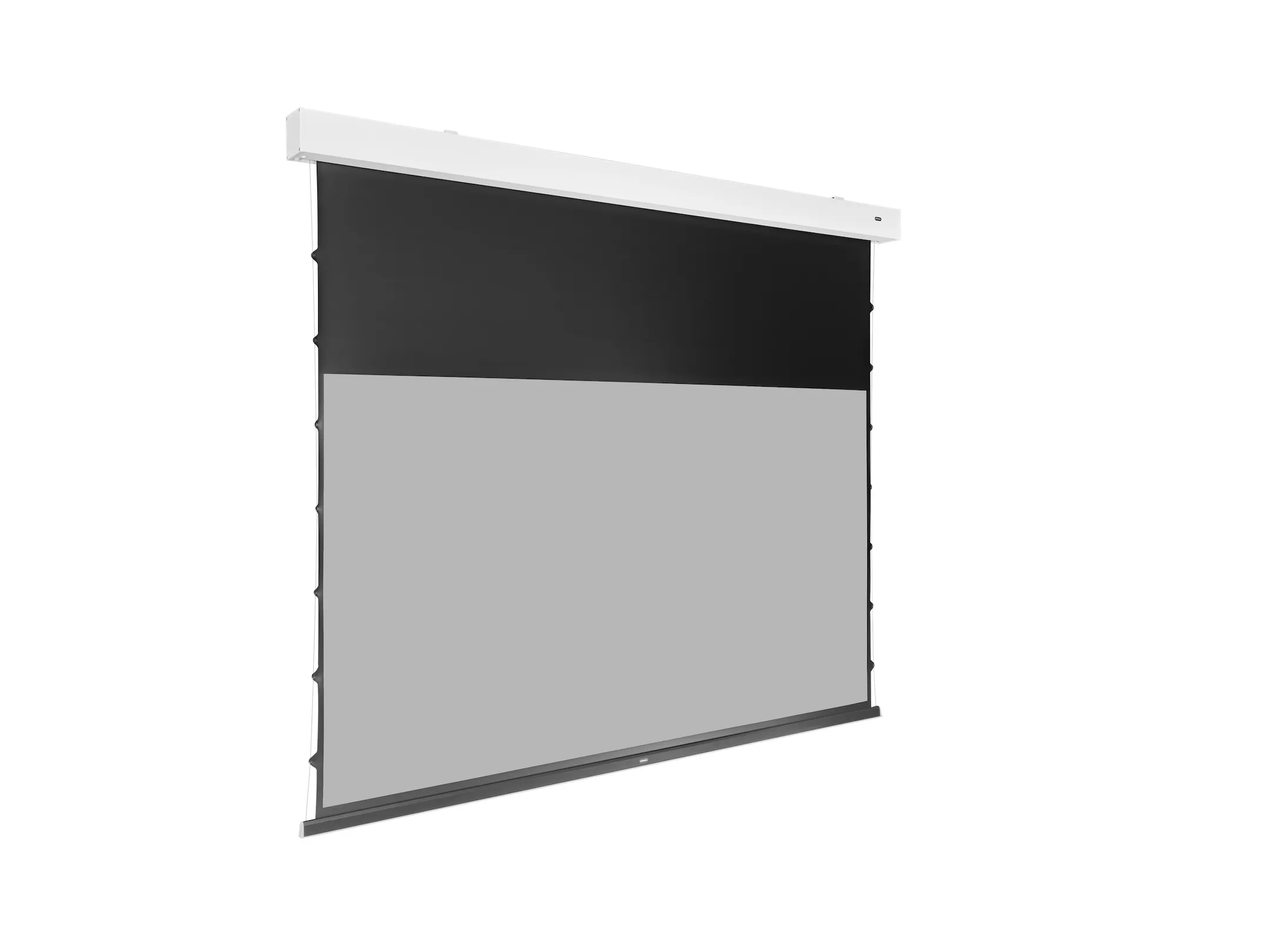 Celexon GREYVISION Premium Plus Motor Leinwand mit Tension