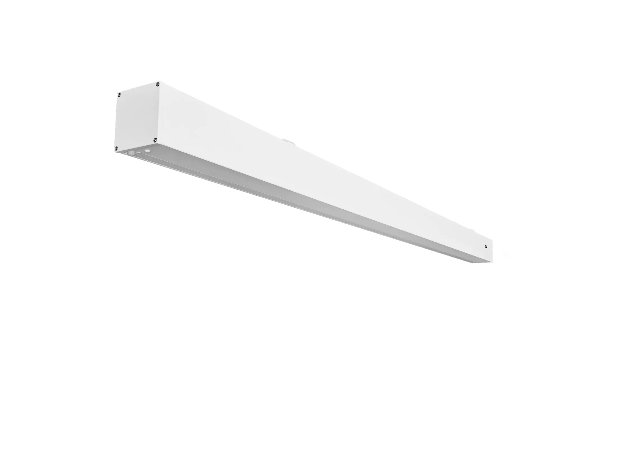 Celexon GREYVISION Premium Plus Motor Leinwand mit Tension